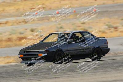 media/Feb-22-2025-Team Topak Racing (Sat) [[cb57a51a40]]/86 Party Brigade/Turns 13 and 14/